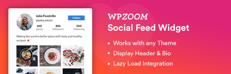 Widget de flux social WPZOOM