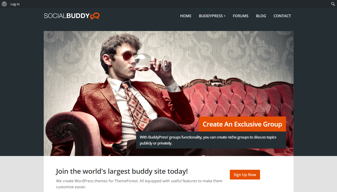Social Buddy - Thème WordPress & BuddyPress