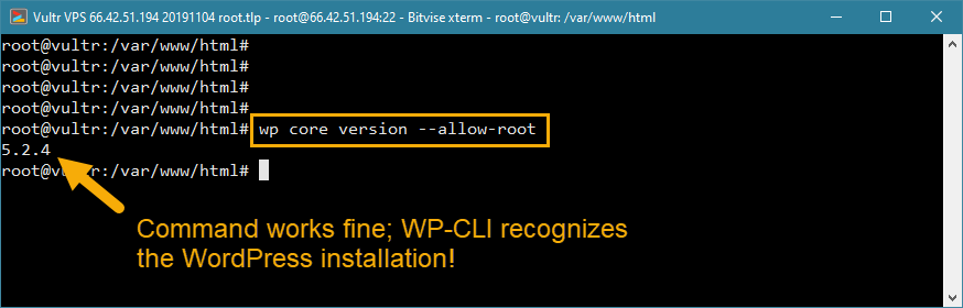 solution d'erreur d'accès root wp-cli wordpress