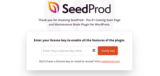 Clé de licence SeedProd