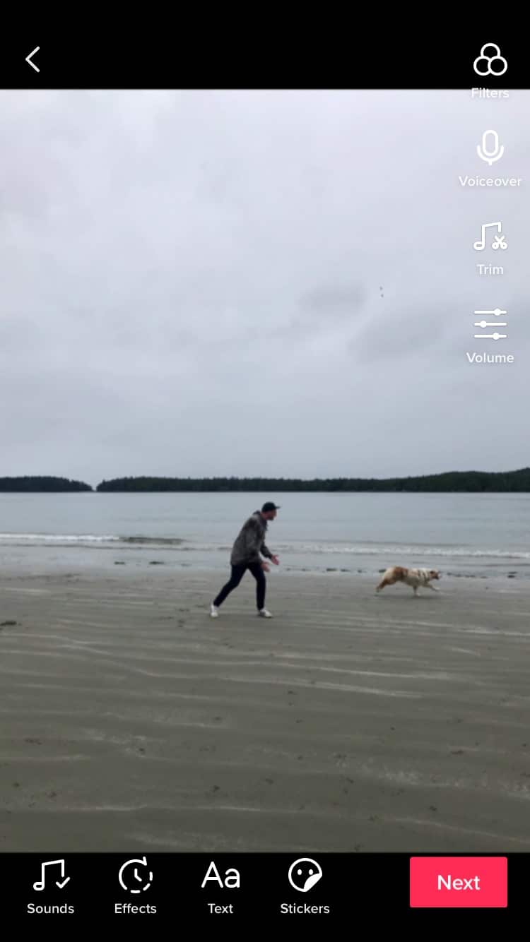 homme sur la plage avec chien