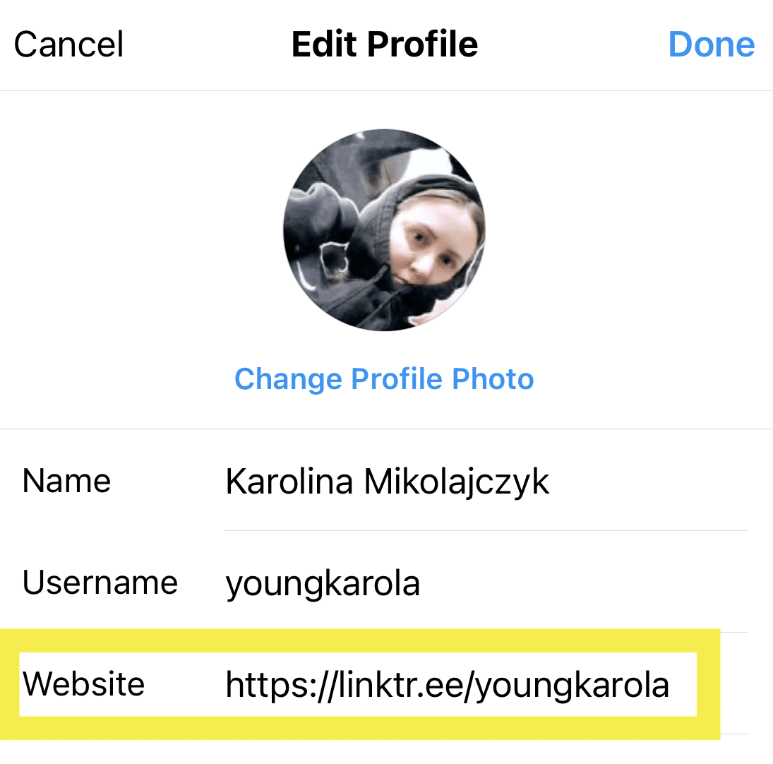 modifier le profil et ajouter l'URL à la section du site Web