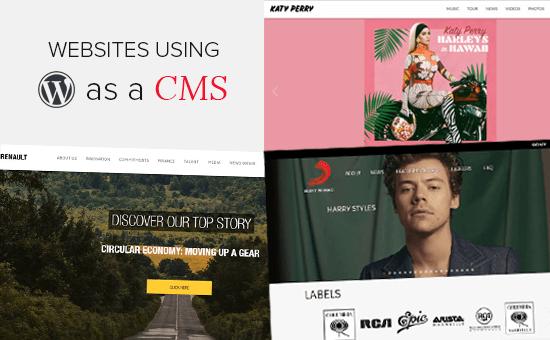 WordPress en tant que CMS : 25 exemples d'utilisation de WordPress en tant que CMS