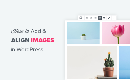 Ajouter et aligner correctement les images dans WordPress
