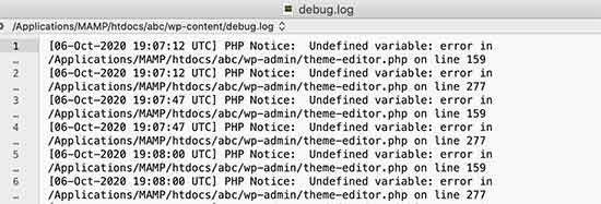 Fichier journal de débogage affichant les erreurs PHP dans WordPress