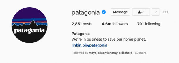 La bio Instagram de Patagonia énonce les valeurs de sa marque