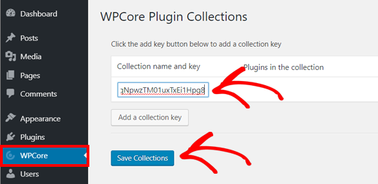 Enregistrer la clé de collection du plugin WPCore sur WordPress