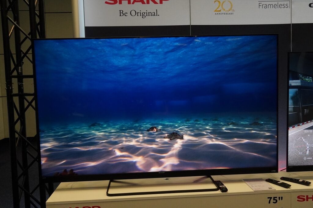 Image sous-marine Sharp EQ TV