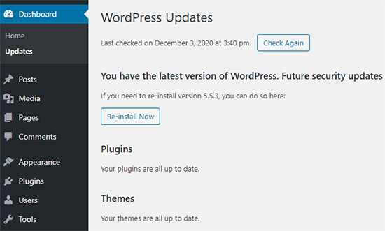 Écran de mise à jour WordPress