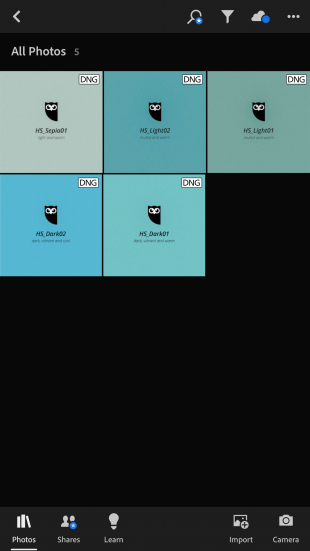 5 fichiers prédéfinis (sous forme de DNG) dans l'application Lightroom.  Ils apparaissent sous forme de carrés bleus avec Owly au centre + titre du fichier.