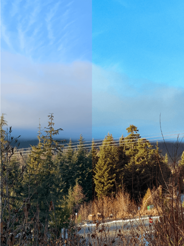 vue sur la montagne avec arbres et ciel bleu