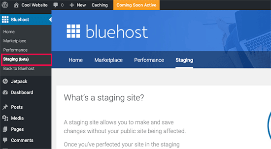 Création d'un site de staging dans Bluehost