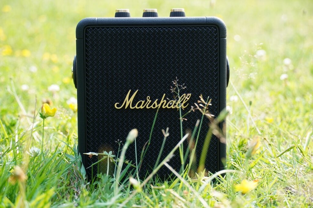Marshall Stockwell II dans l'herbe