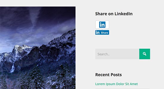 Bouton de partage LinkedIn dans la barre latérale