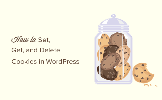 Comment definir obtenir et supprimer les cookies WordPress comme un