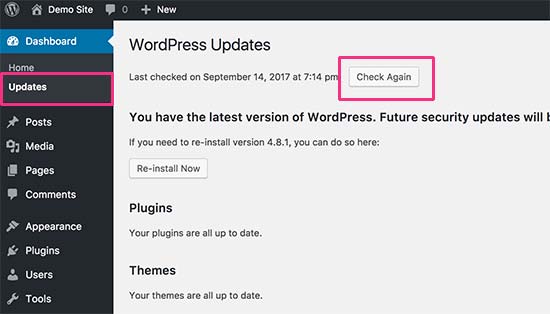 Rechercher les mises à jour WordPress