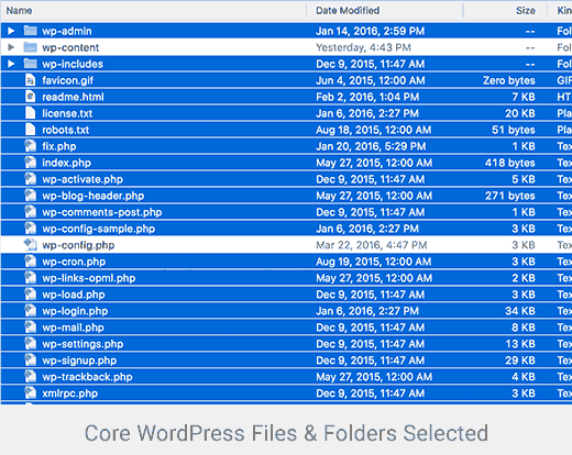 Fichiers WordPress de base