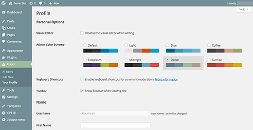 Changer le schéma de couleurs de la zone d'administration de WordPress