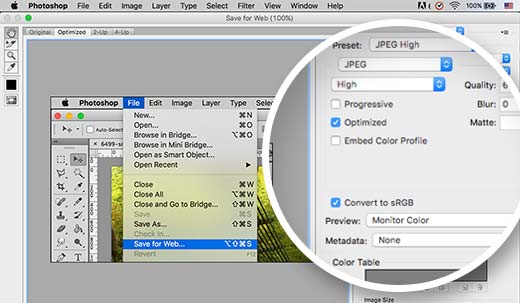 Conversion des couleurs en RVB et enregistrement pour le Web dans Adobe Photoshop