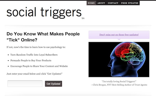 Une capture d'écran de la page d'accueil Social Triggers.