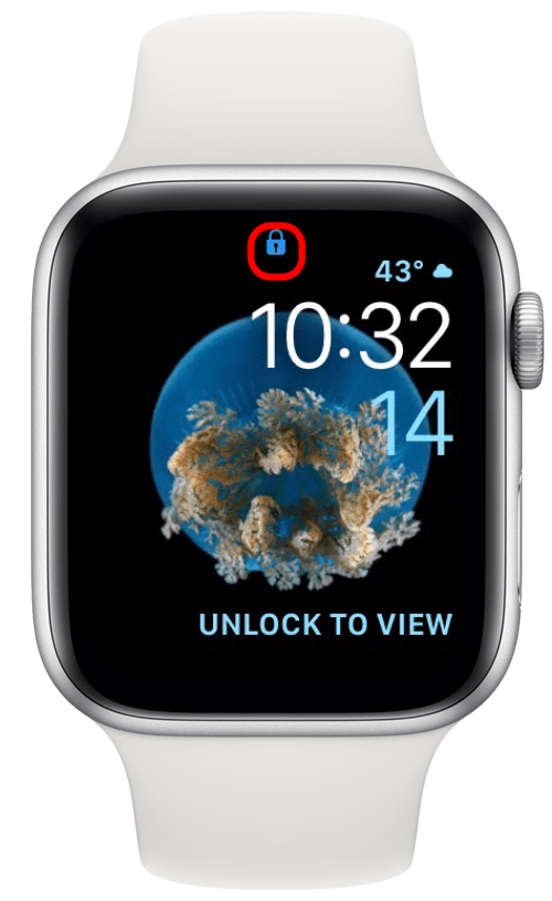 icône de cadenas bleu sur Apple Watch