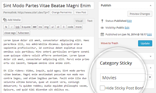 Métabox collante de catégorie sur l'écran de post-édition dans WordPress