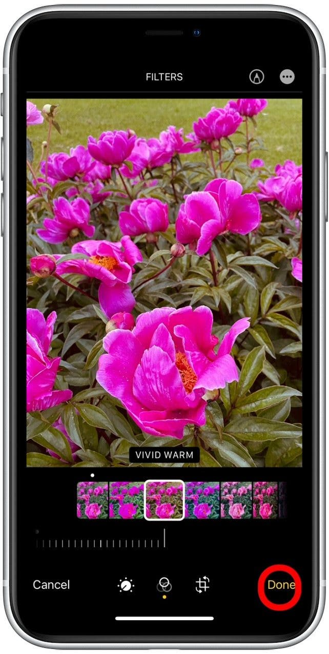 Modifier des photos sur iPhone Comment comparer les photos modifiées