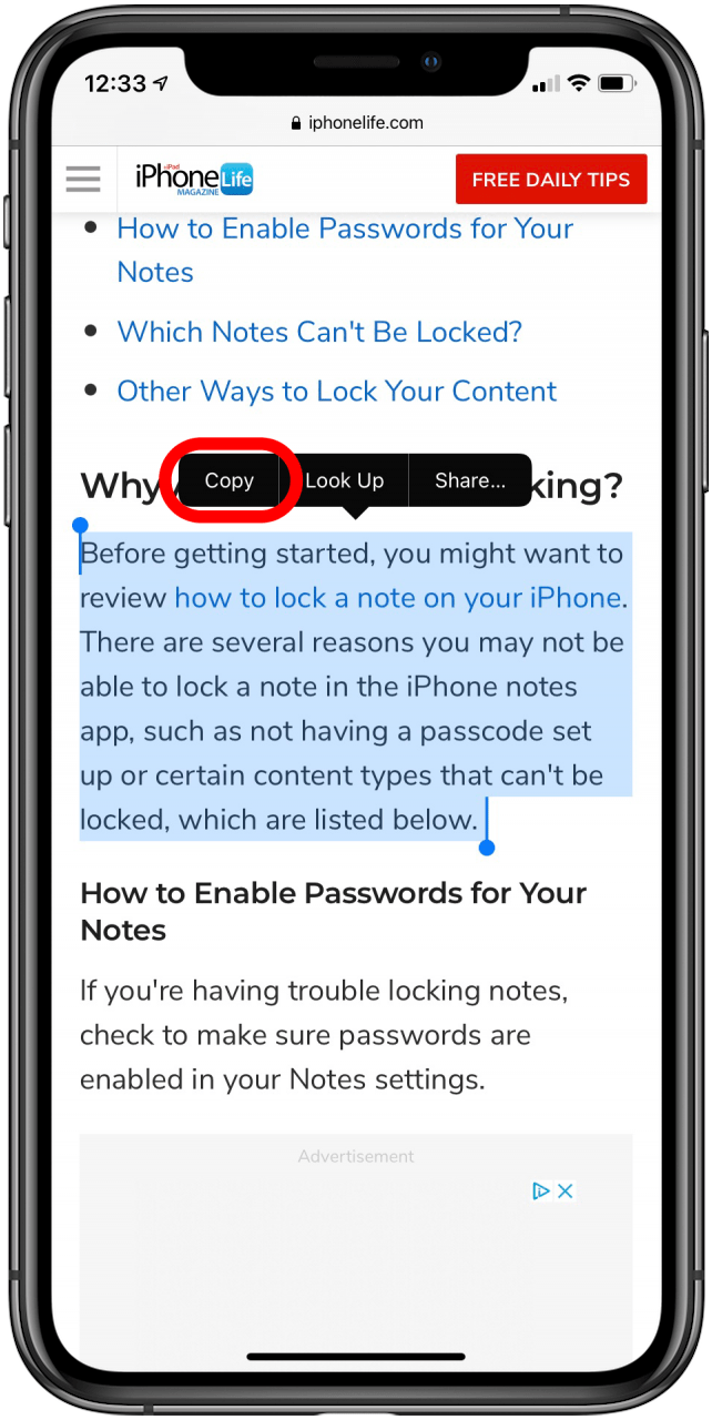 Comment copier et coller sur un iPhone ou un iPad ThemeLocal Des
