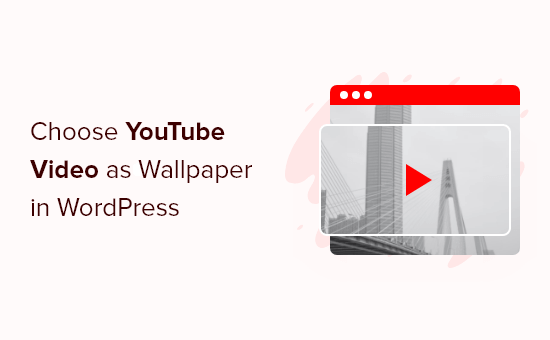 Vidéo YouTube comme fond d'écran dans WordPress