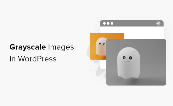Comment mettre des images en niveaux de gris dans WordPress