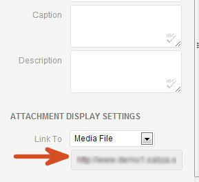 Copier l'emplacement du fichier dans Media Uploader