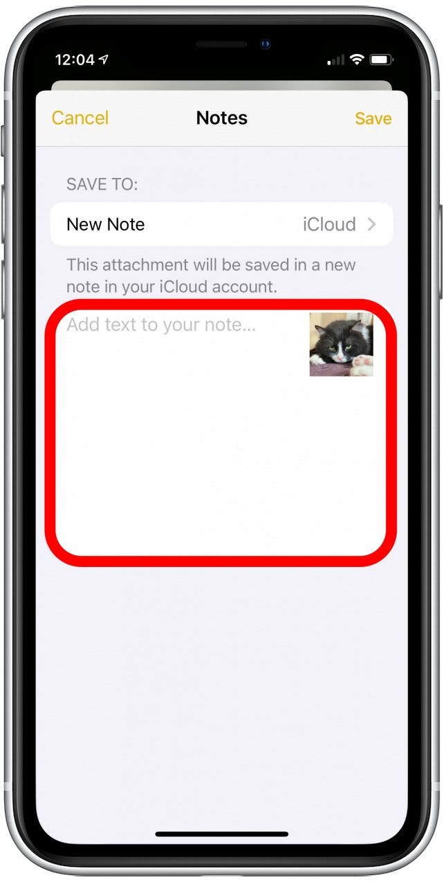 photos secrètes iphone: le menu partager une photo avec des notes avec le champ de texte en surbrillance