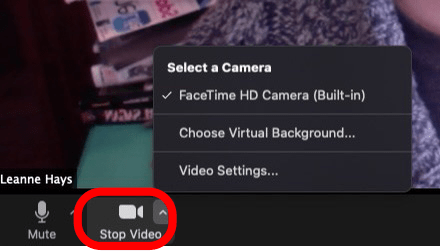arrêter l'icône de zoom vidéo
