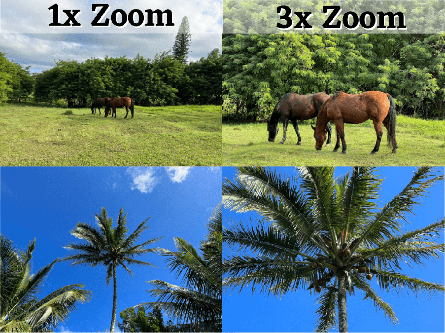 3x Zoom Means - grossissement de l'appareil photo numérique par rapport au zoom optique