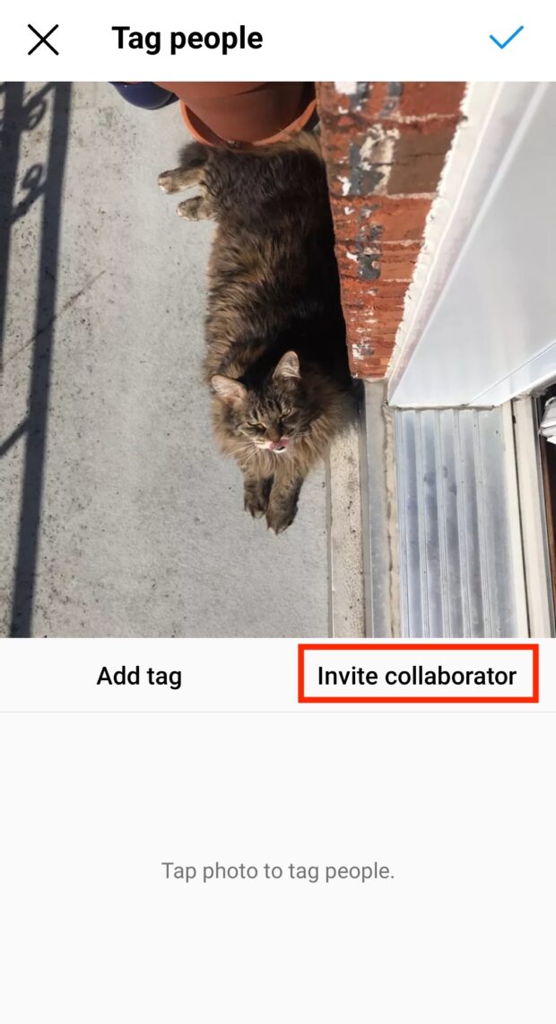 inviter un collaborateur à une photo de chat