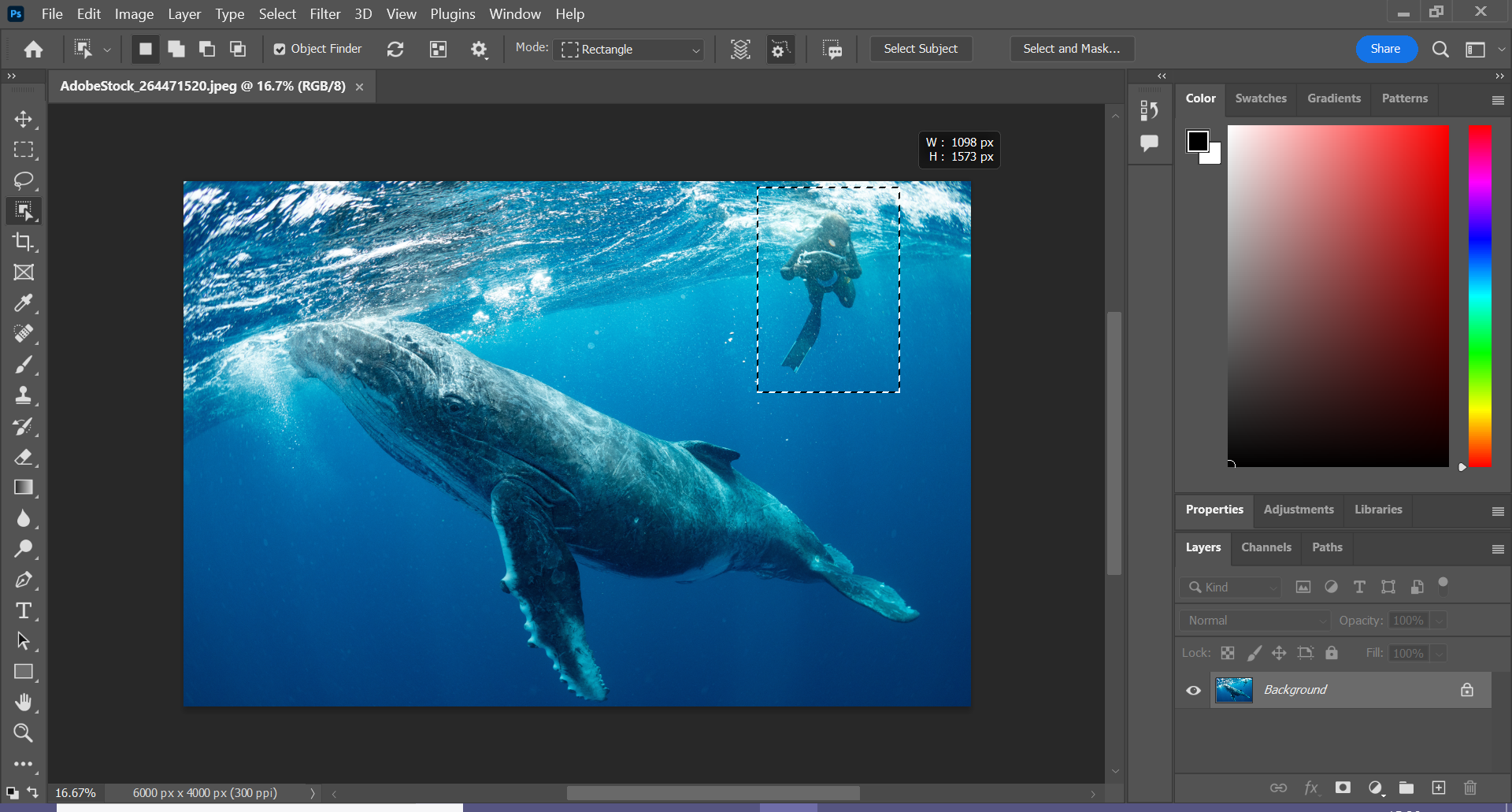Comment supprimer des objets dans Photoshop - ThemeLocal - Des conseils