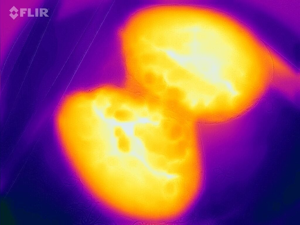 Carte thermique de la pomme de terre en robe après 8 minutes dans le Hisense H28MOBS8HGUK
