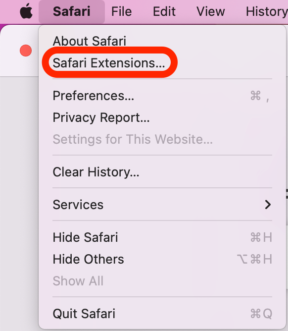Cliquez sur Extensions Safari…