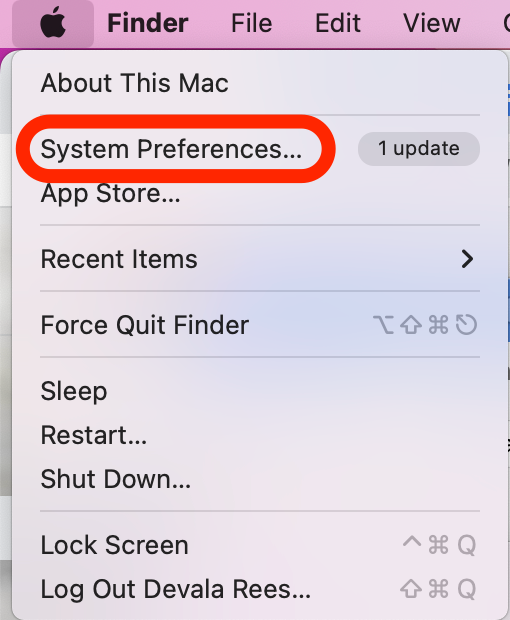 Cliquez sur Préférences Système pour trouver les paramètres de veille du Mac.