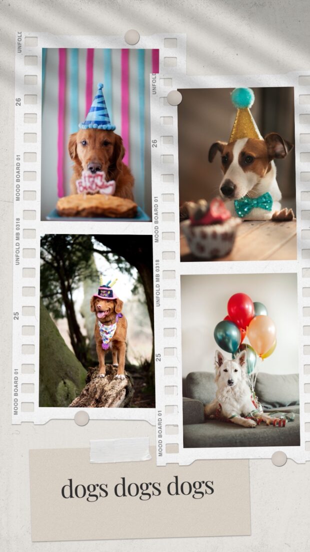 créer une nouvelle histoire Instagram et sélectionner une image de collage