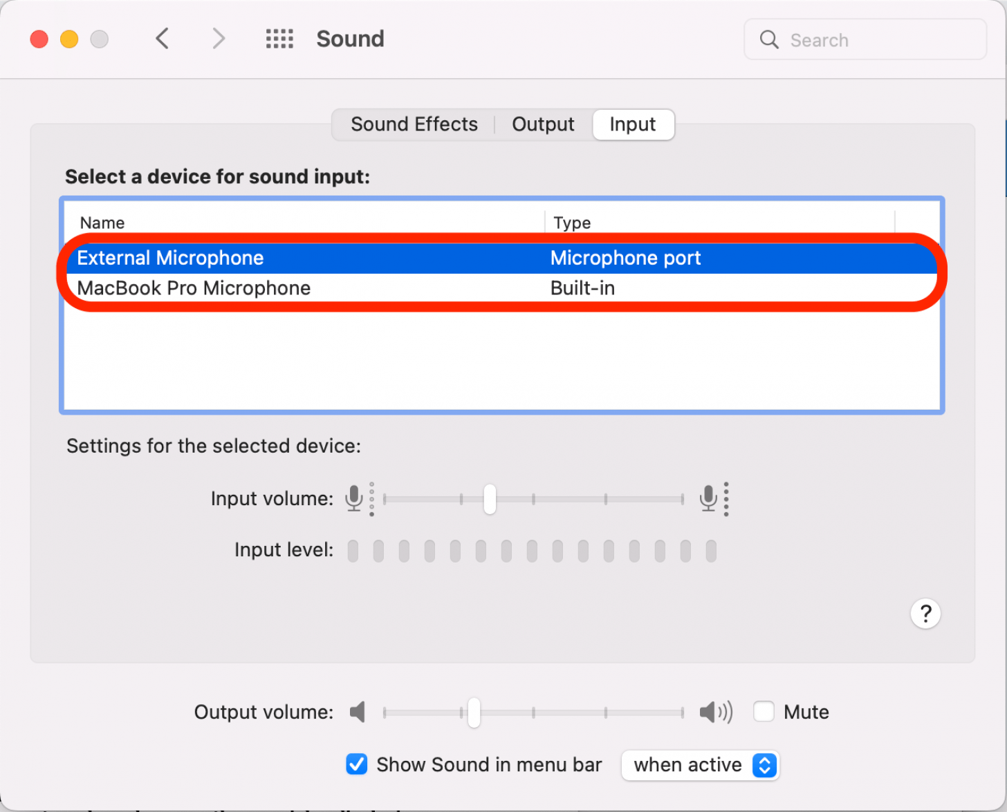 Cliquez pour sélectionner un périphérique pour l'entrée audio.  Les options listeront tous les appareils actuellement disponibles.