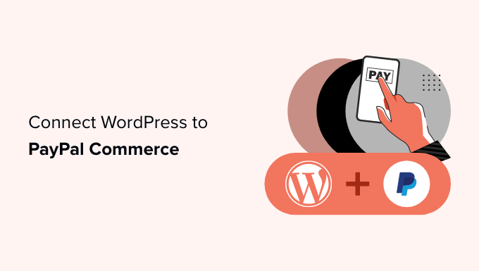 Comment connecter WordPress a PayPal Commerce