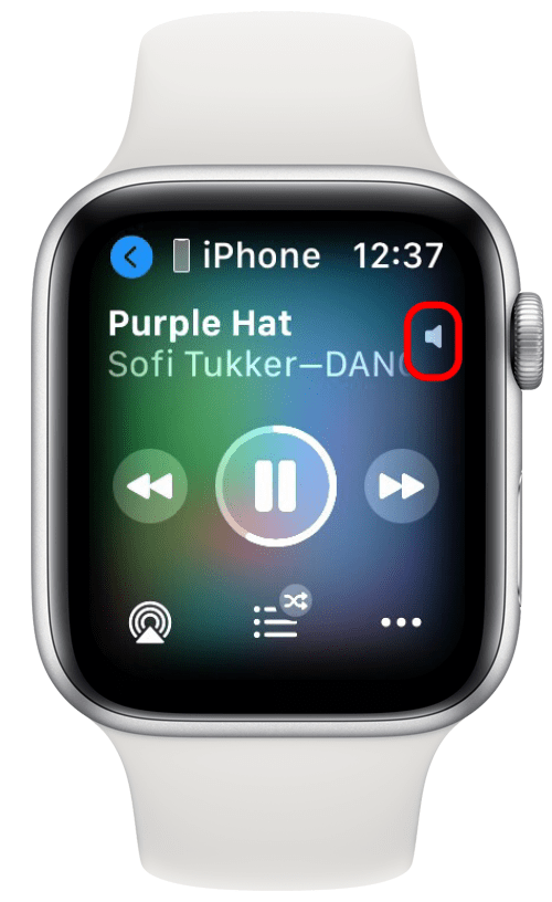 icône de volume de la montre apple