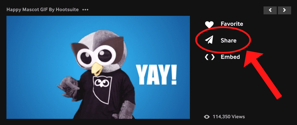 icône de partage sur le côté droit de Owly GIF
