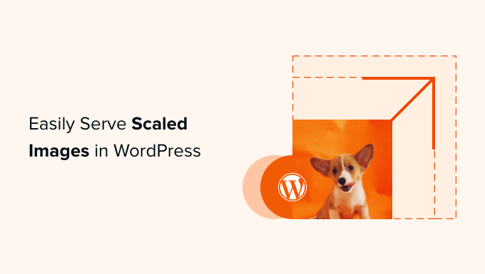 Comment servir facilement des images mises à l'échelle dans WordPress (étape par étape)