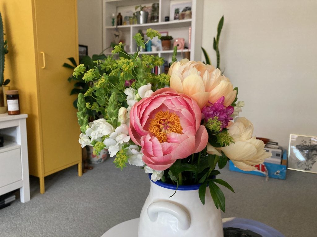Image d'un pot de fleurs blanc avec des fleurs, prise depuis l'iPhone SE