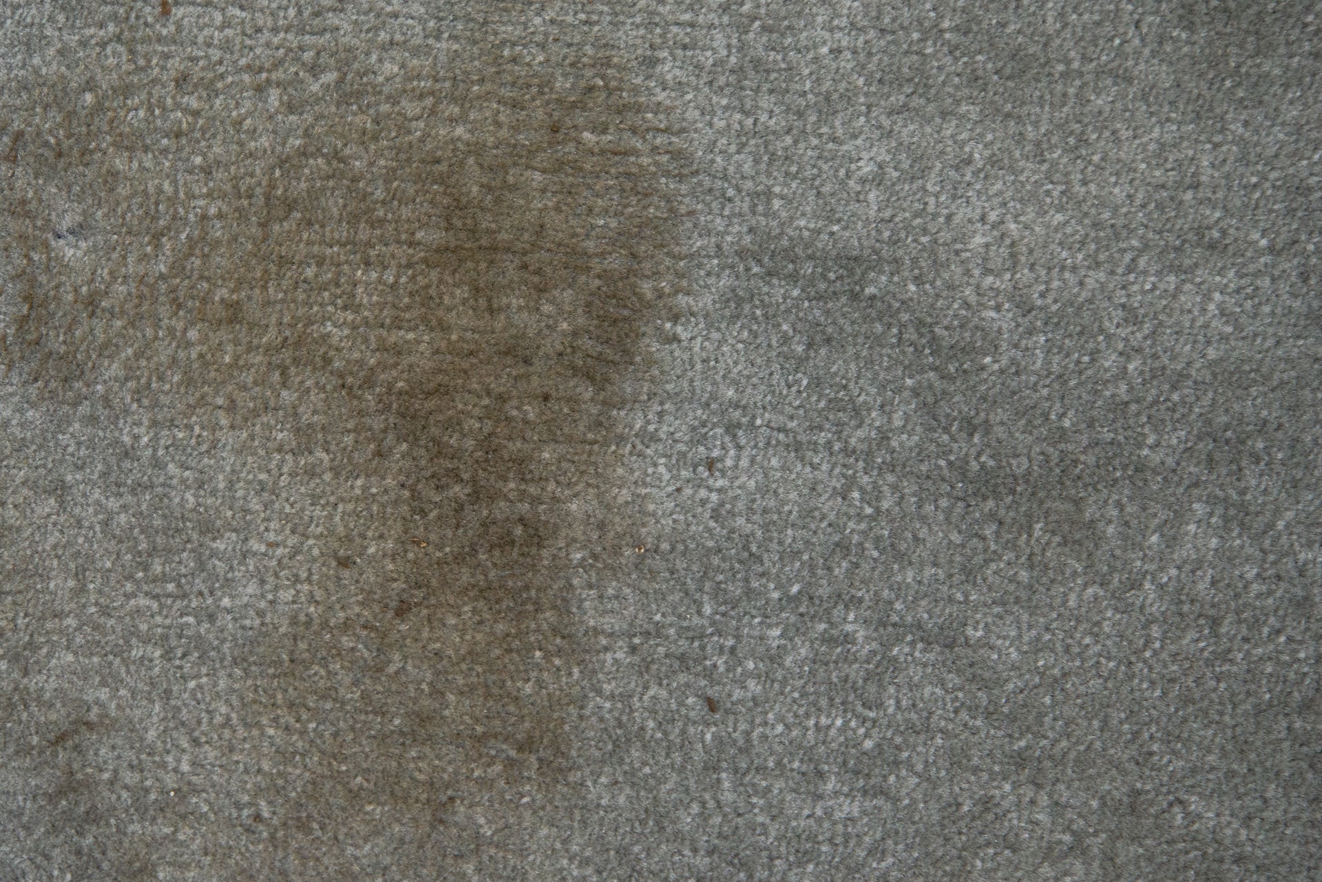 Une tache de boue sur un tapis