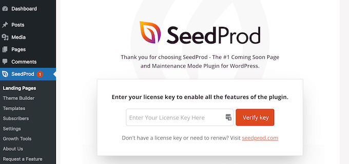 Saisie de la clé de licence SeedProd