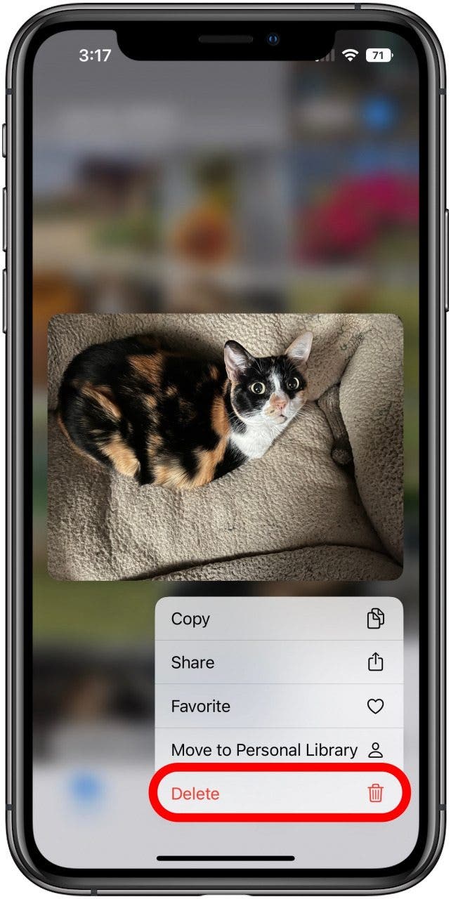 Application Photos avec le menu d'appui long ouvert pour une photo d'un chat dans la bibliothèque partagée.  L'option Supprimer est cochée.