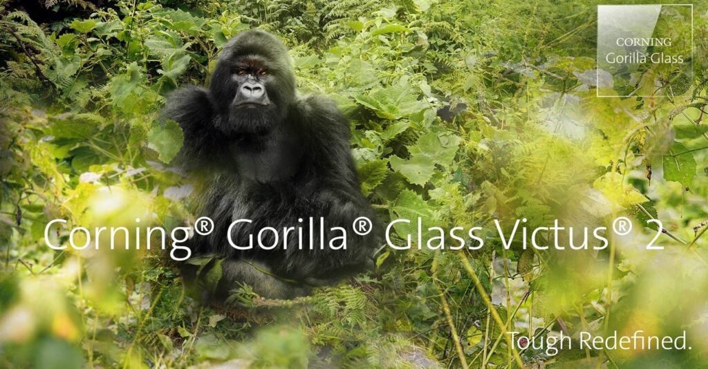 Gorille Verre Victus 2